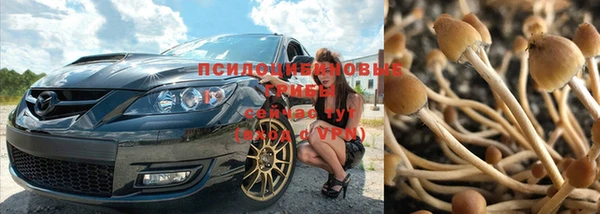 прущий лед Михайлов