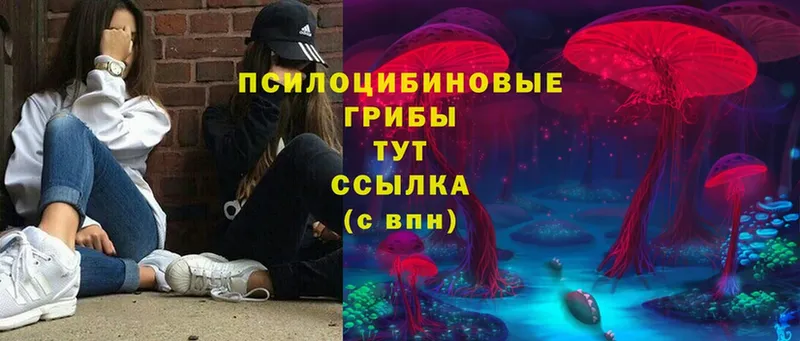 Галлюциногенные грибы Magic Shrooms  купить закладку  Полевской 