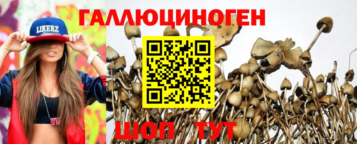 Полевской  Псилоцибиновые грибы Magic Shrooms  Галлюциногенные грибы MAGIC MUSHROOMS  купить наркотик  Вход с VPN 