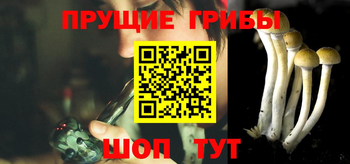 Псилоцибиновые грибы MAGIC MUSHROOMS  Полевской 