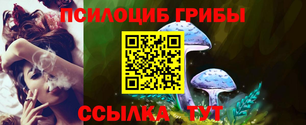 Галлюциногенные грибы мицелий Полевской